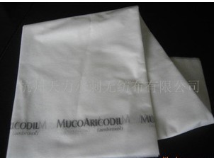 �t�ô��Σ�һ���Դ���