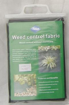 �@ˇ�o����