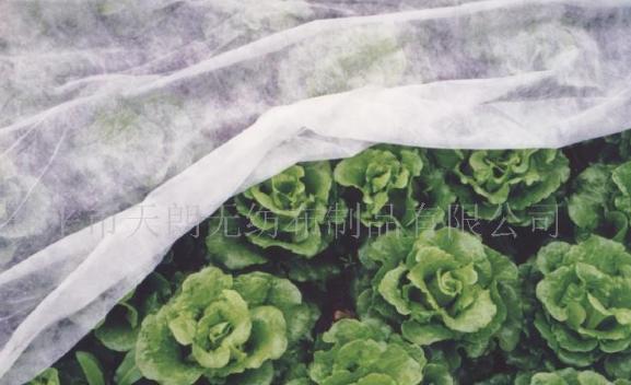 �@ˇ�o����