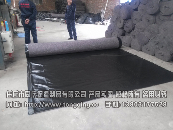 ���۸�Ĥë��