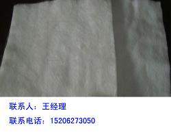 ̩���������S�Ҍ��I���a������