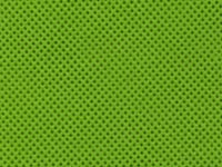 �W�c�o����