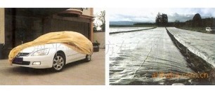 ���ϻ� pp��ճ�o����