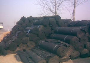 �����ßo���� �o����