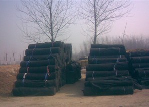 �o����ë��