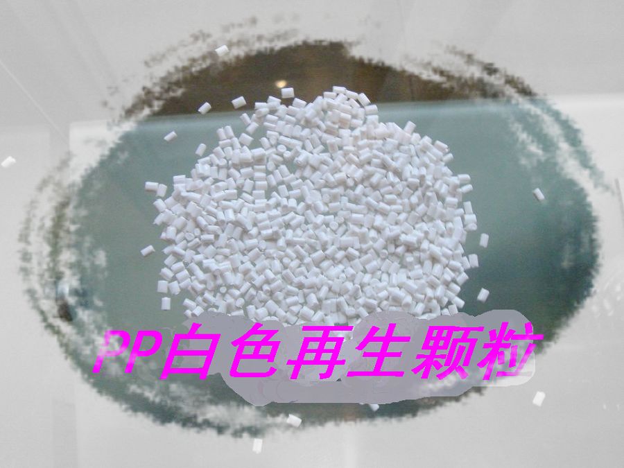 ������PP�o�����w��