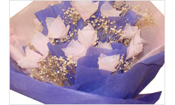 �r�����b�o����