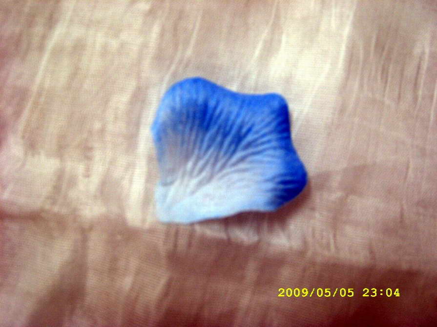 ��ُ���ٻ��ğo����