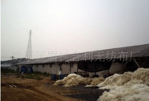 ᘴ̟o(w��)����