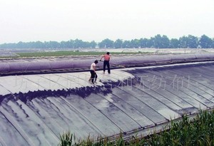 �߲��ﱣ�ز�