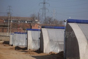 �ȞĎ����ßo����