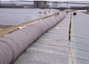 �߲����Úֲ�