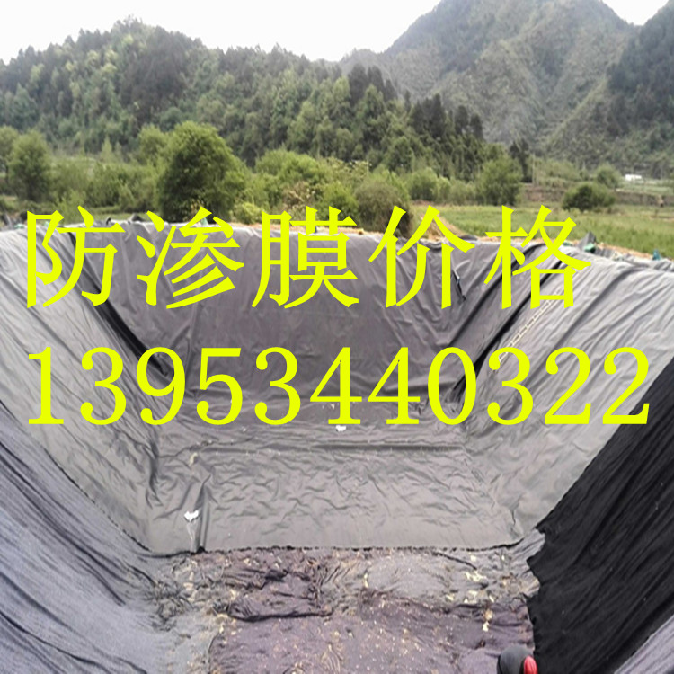 ɽ���x��1.0mmβ�V�η��BĤ�S��