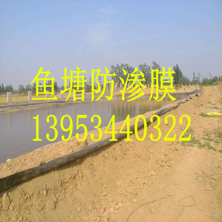 �ӱ���ɽ0.5mm�~���h�����BĤ�S��