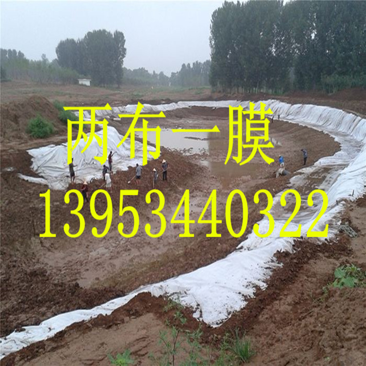 �Ϻ����ٹ�·�ָ�550�˃ɲ�һĤ�S��