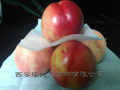 ���b�Ϲ��߲ˌ��ßo���� ES��܈͸��o��