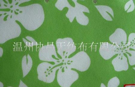 ӡ���o(w��)����