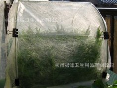 ��������ßo����