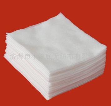 ������ԡ��