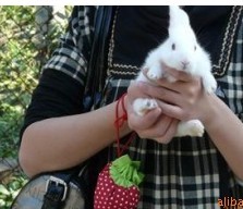 ��ݮ�h(hu��n)��ُ���