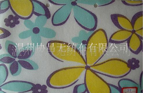 PPӡ���o����