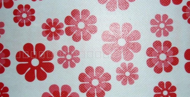 ��Ĥӡ����