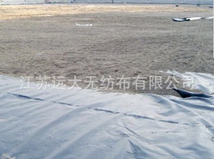 ���wᘴ̷ǿ���������