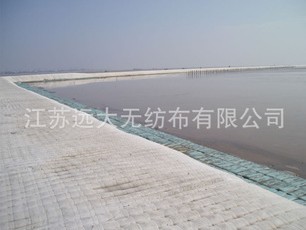 �ͺ�������