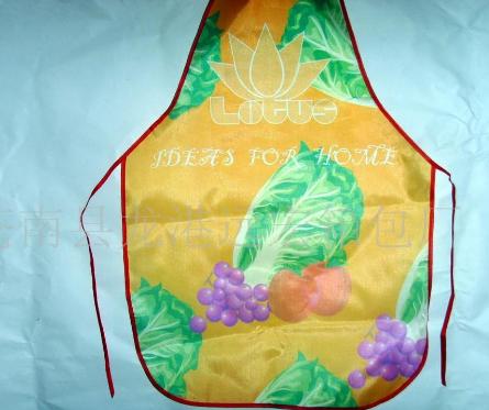 �����Ӽ҇�ȹ