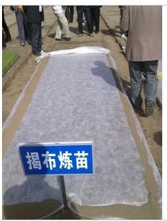 ������o����