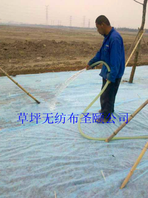 ���ʥ�U��ƺ�o�����N����Ϣ������ƺ�o����