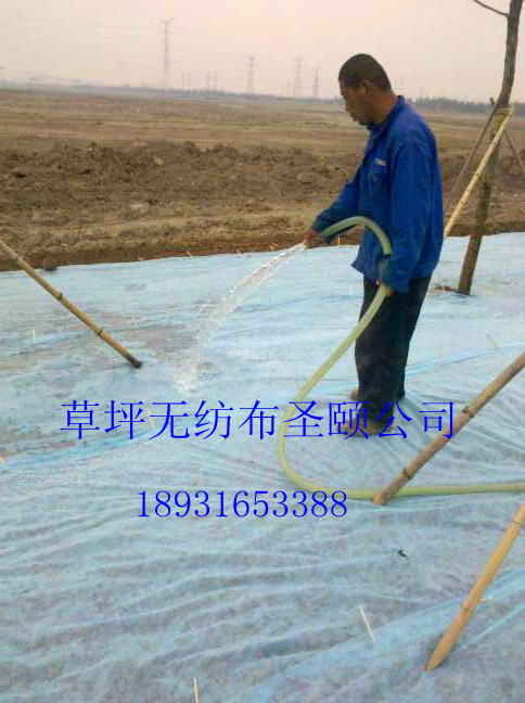 �G����·��ƺ�o�������a�S�����ӱ�����