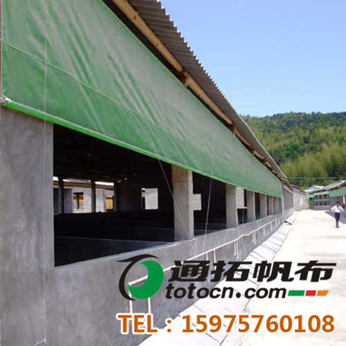 �����i������-���������l(f��)-���Ϸ����ӹ�