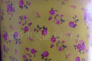 PP��Ĥ�o����