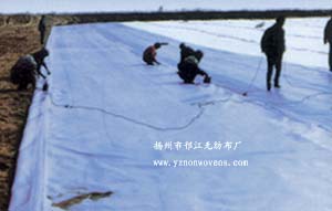 �����o(w��)����ϵ��