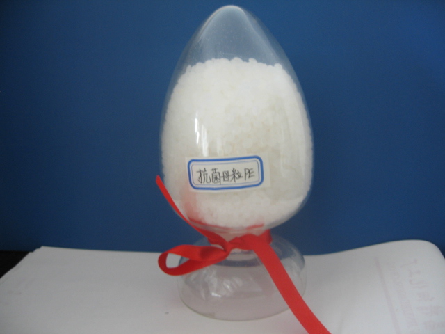 ����ĸ��