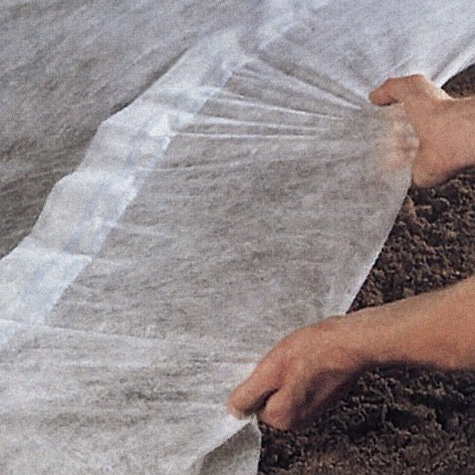 �r�ßo����